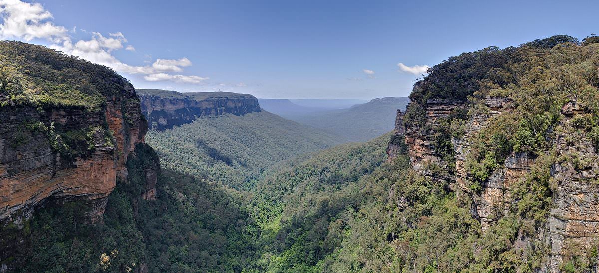 Eucalypt forest filling the Jamison Valley, with sandstone cliffs above and blue haze in the distance