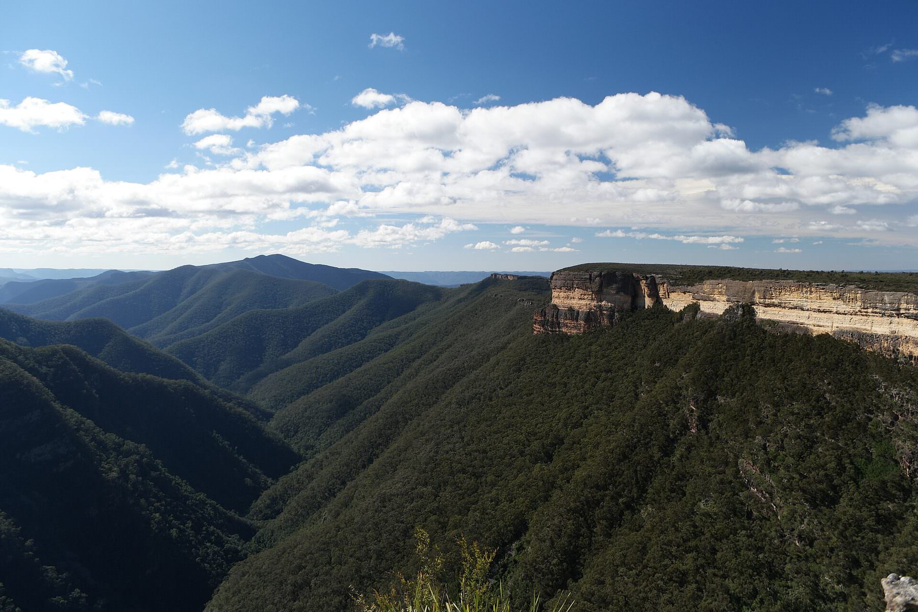 The cliffs of Kanangra Walls in Kanangra-Boyd National Park, part of the Greater Blue Mountains World Heritage Area